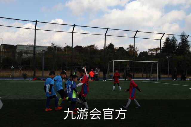 九游会官方公司简介展示图